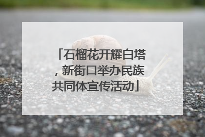 石榴花开耀白塔，新街口举办民族共同体宣传活动